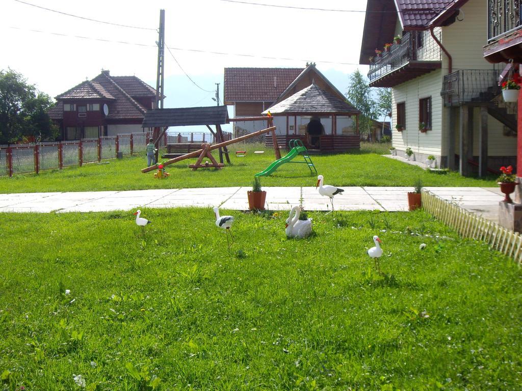 ホテル Garofita Pietrei Craiului Peştera エクステリア 写真